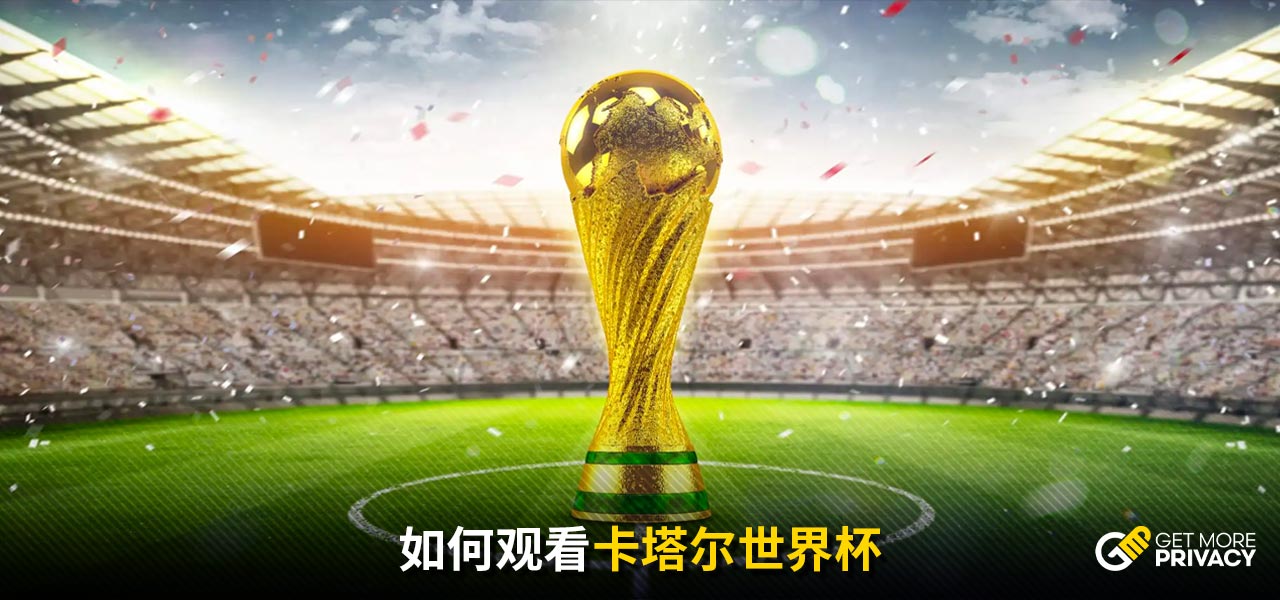 了球迷投票