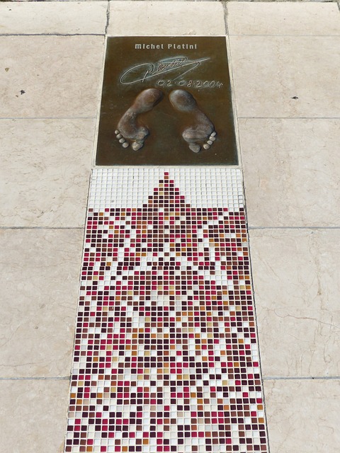 寻求引进优 寻求引进优