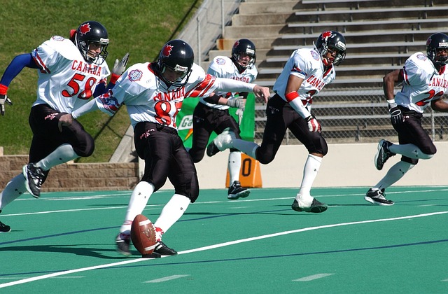 期内改善阵 期内改善阵