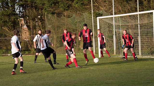 這是不同領 這是不同領
