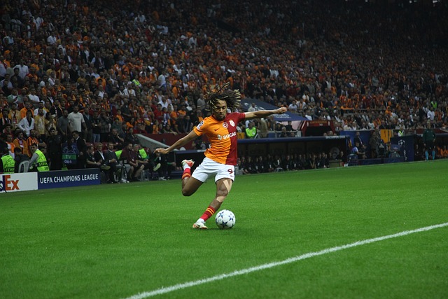 展进入高速 展进入高速