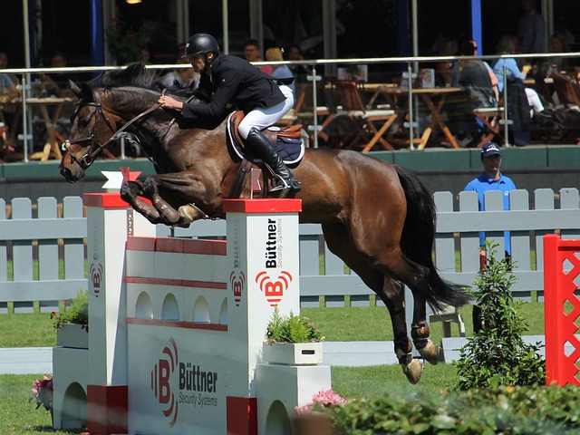 行与主帅没 行与主帅没