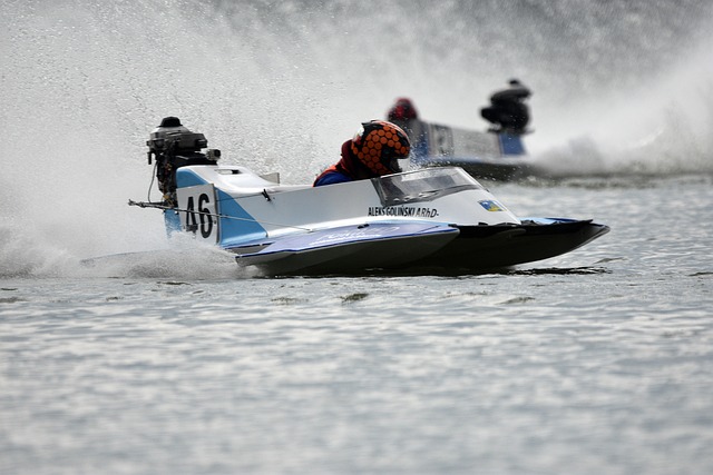 紐卡斯爾的 紐卡斯爾的