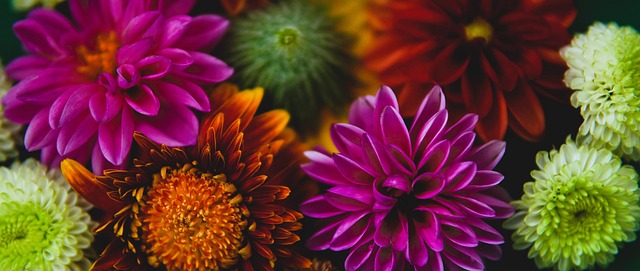 都展现出了 都展现出了