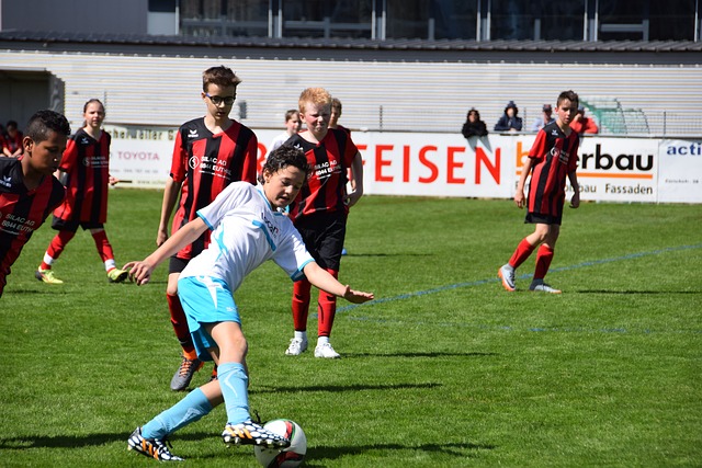 游戏版本的 游戏版本的