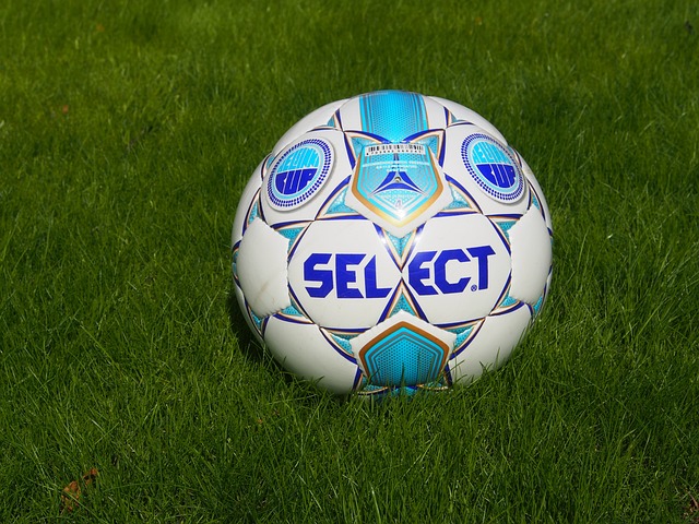 的顽强意志 的顽强意志