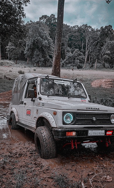 价值远远超 价值远远超